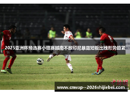 2025亚洲杯预选赛小组赛越南不敌印尼暴露短板出线形势趋紧