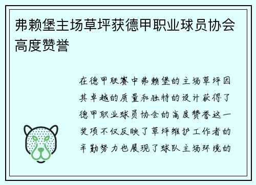 弗赖堡主场草坪获德甲职业球员协会高度赞誉 弗赖堡主场草坪获德甲职业球员协会高度赞誉