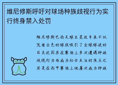 维尼修斯呼吁对球场种族歧视行为实行终身禁入处罚