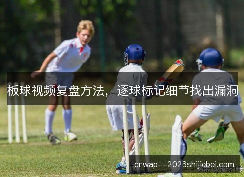 板球视频复盘方法，逐球标记细节找出漏洞